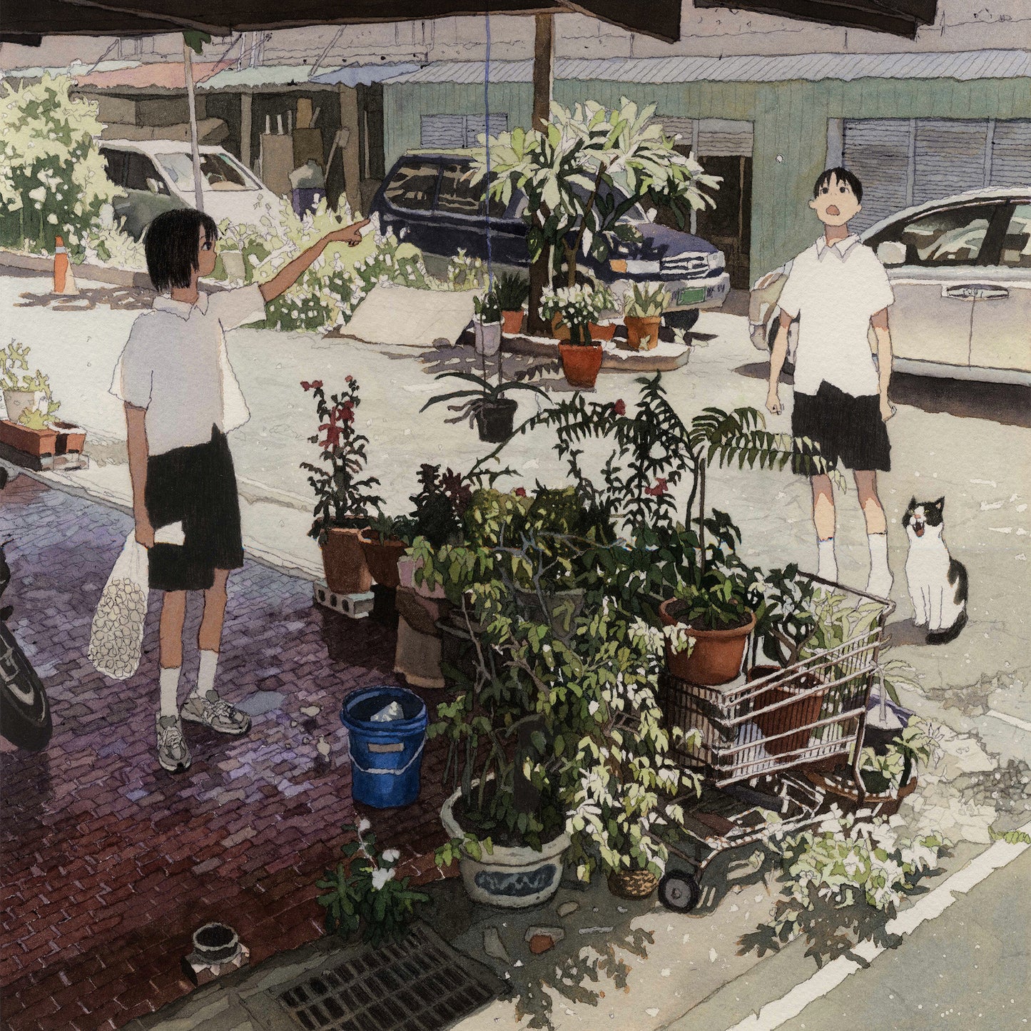 피드