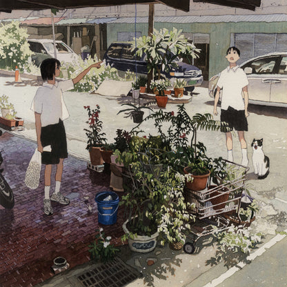 피드