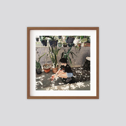 산세베리아