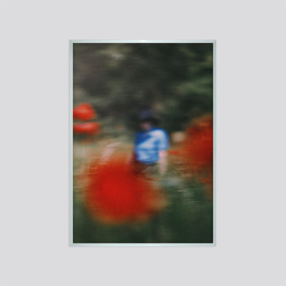 DAME AUX COQUELICOTS