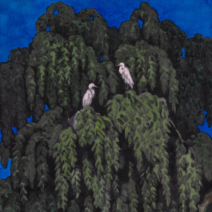 Birds