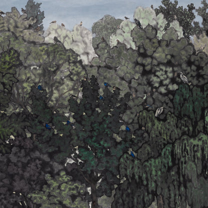 Birds