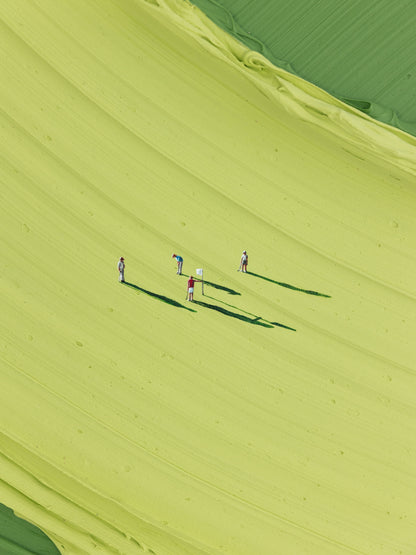 DAY ON THE GREEN